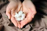 Cotton