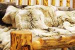 Furs