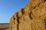 Straw