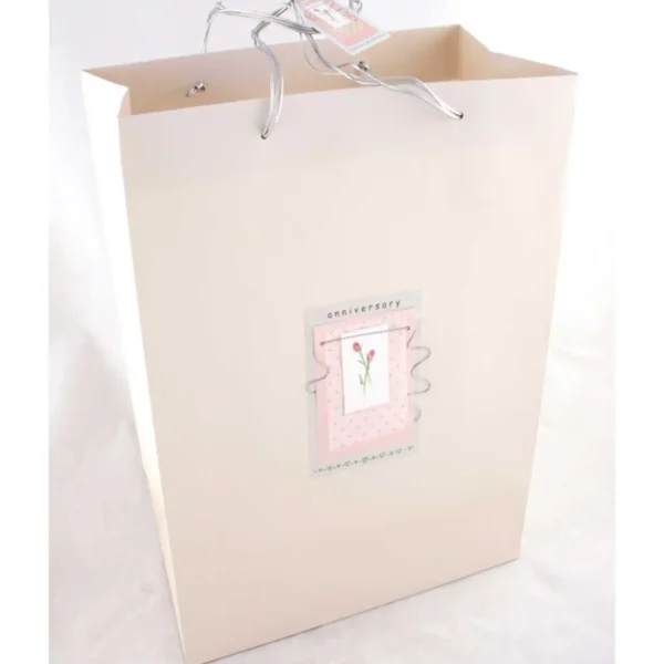 Large Anniversary Gift Bag by Hooli Mooli accessories