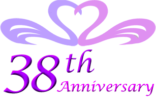 38th Anniversary Gifts