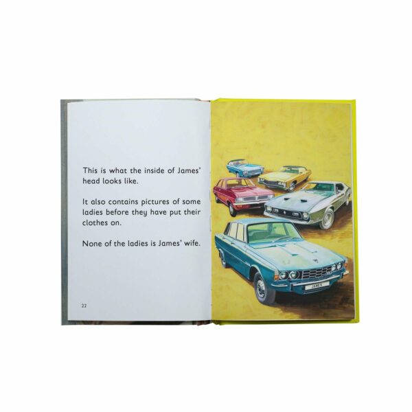 Ladybird 'How it Works' Style Book - The Husband - Image 3