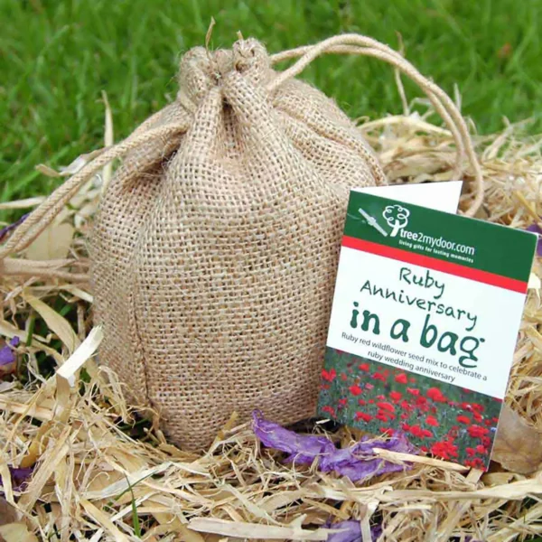 Ruby Anniversary Rose and Seed gift set