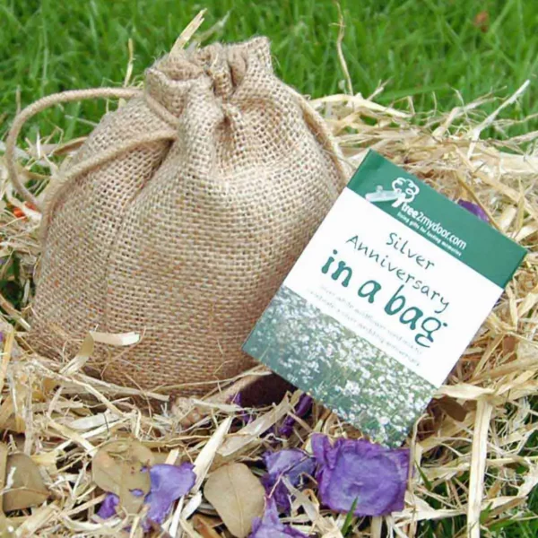 Silver Anniversary Rose and Seed gift set