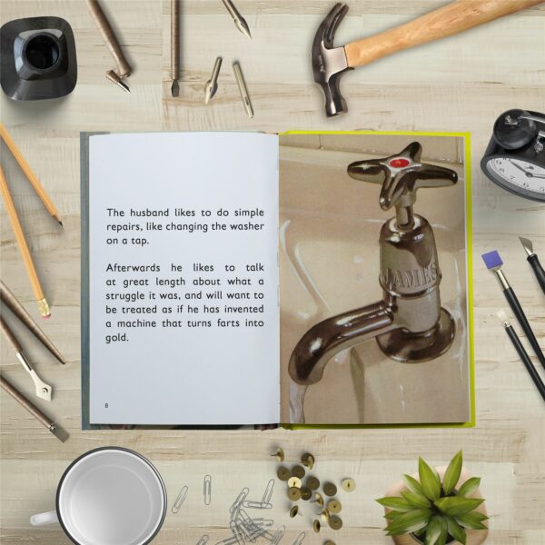 Ladybird 'How it Works' Style Book - The Husband - Image 5