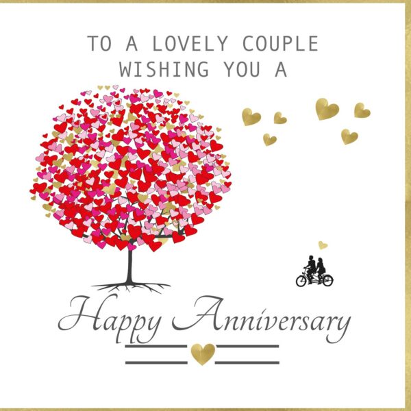 To a Lovely couple Anniversary Greeting Card