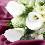 flowers 6th anniversary gifts calla lillies