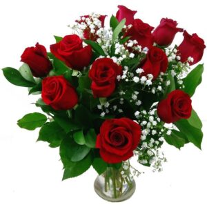 12 Luxury Red Roses