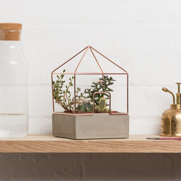 Copper Plant House