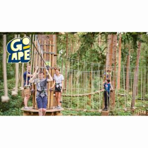 Treetop Adventure at Go Ape for Two