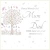 For a Wonderful Mum and Dad With Love Anniversary Greeting Card