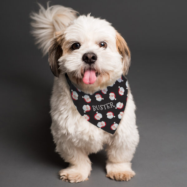 Personalised Santa Dog Bandana