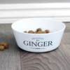 Personalised Cat Bowl, choice of designs - Image 6