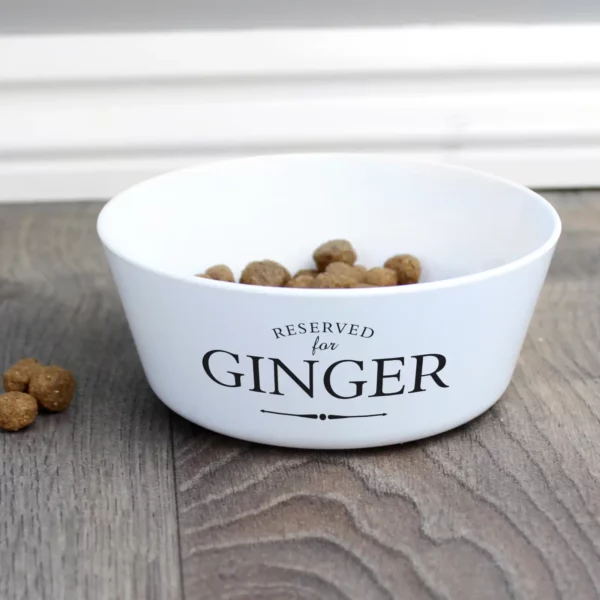 Personalised Cat Bowl, choice of designs - Image 6